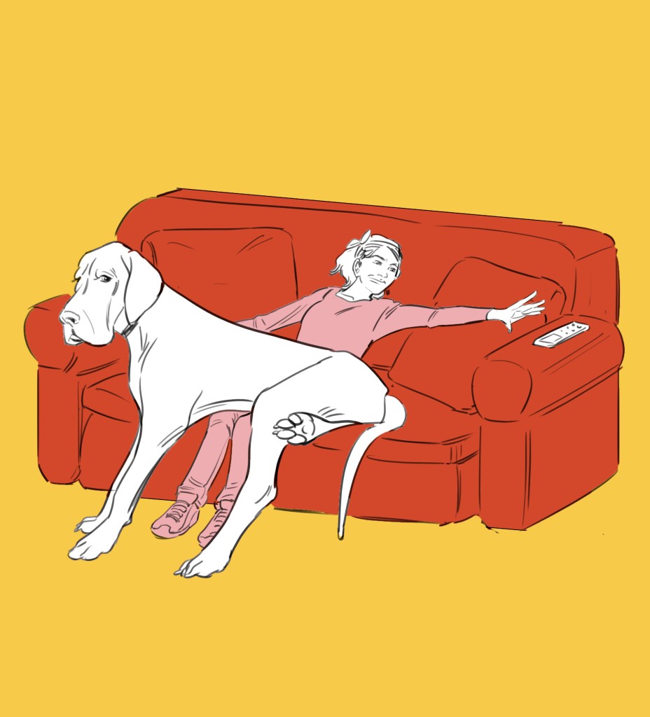 Pet Sitting-Color