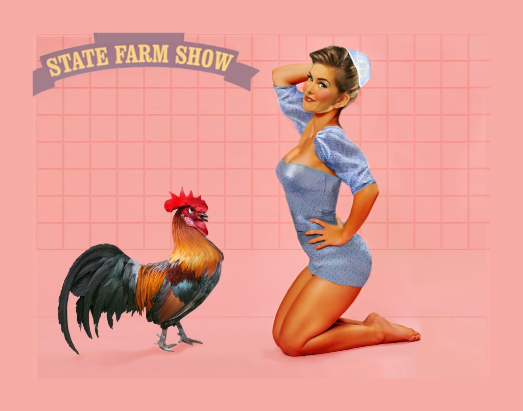 State Farm Show