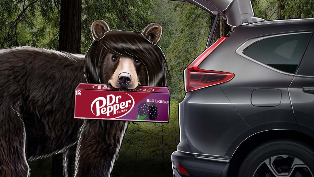 DR Pepper Berry F9c