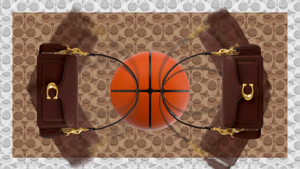 Coach-WNBA-Illustration-Art-Chelsea-Low-famousframes4