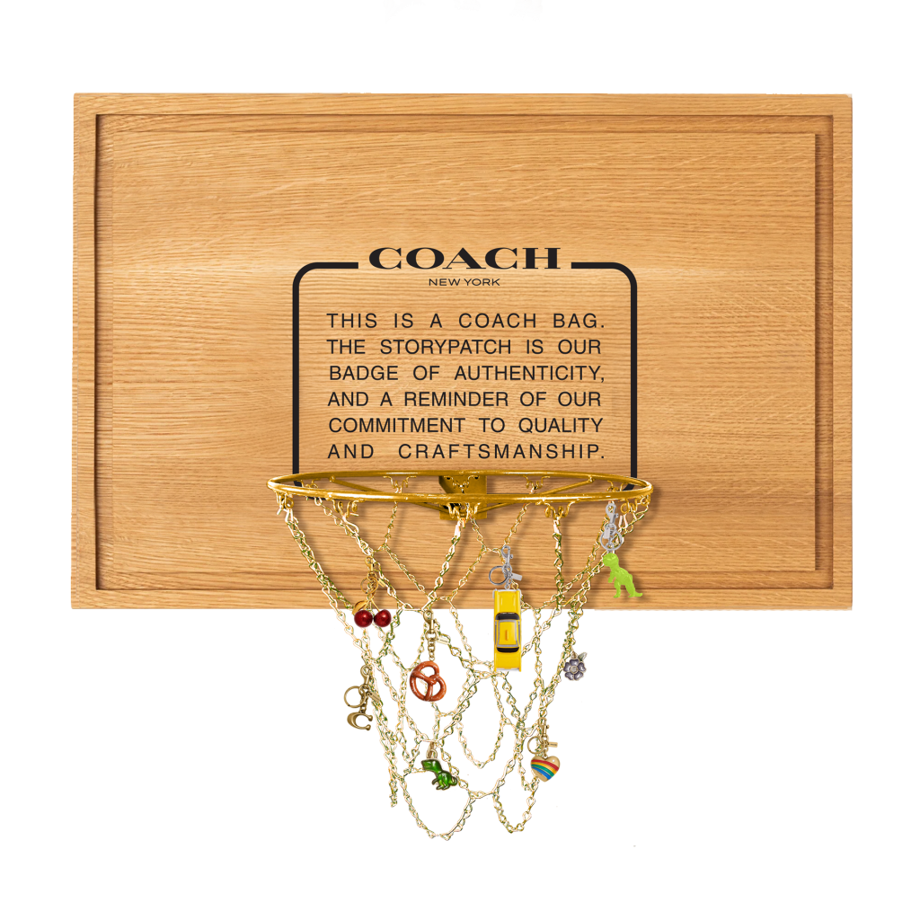 Coach-WNBA-Illustration-Art-Chelsea-Low-famousframes8