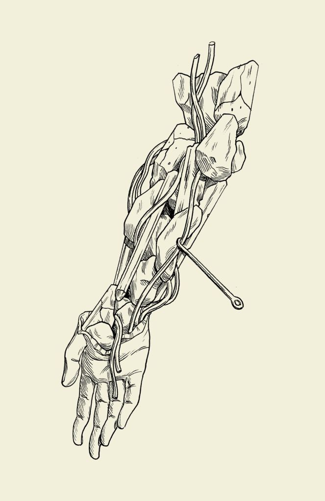 Interiors-Creature-Art-Anuj-Shrestha-famousframes1