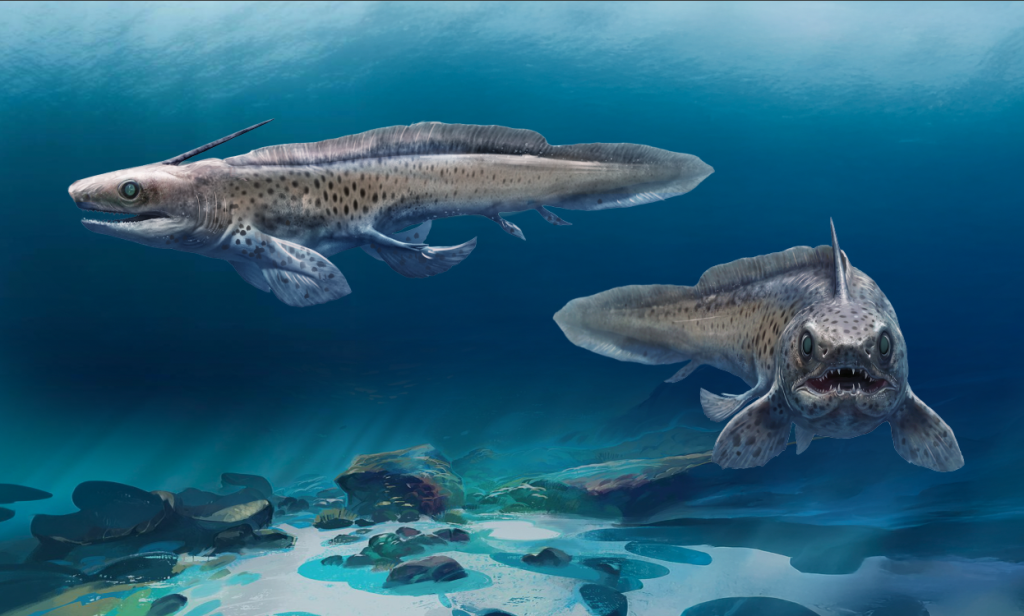 Sharks-Animal-Art-Bart-Bus-famousframes1