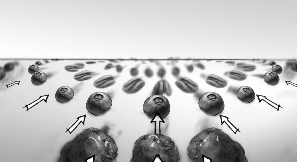 Great-Grains-Cereal-Storyboard-Art-Daniel-Lim-famousframes11