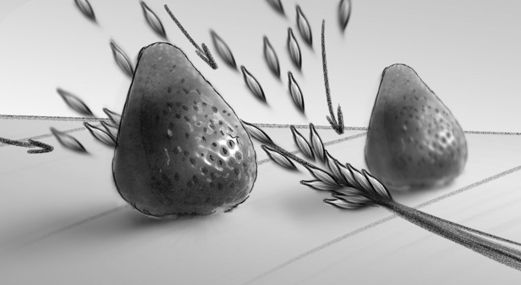 Great-Grains-Cereal-Storyboard-Art-Daniel-Lim-famousframes19