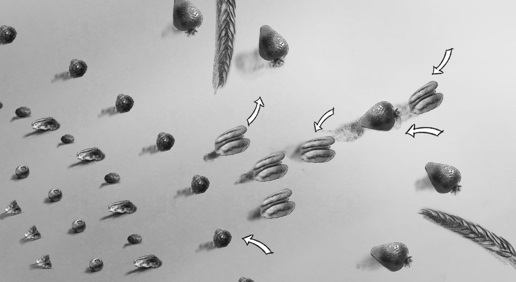 Great-Grains-Cereal-Storyboard-Art-Daniel-Lim-famousframes20