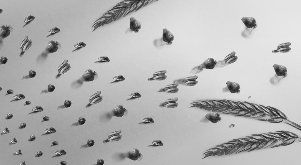 Great-Grains-Cereal-Storyboard-Art-Daniel-Lim-famousframes21