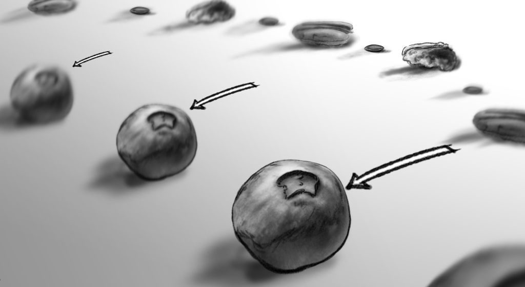 Great-Grains-Cereal-Storyboard-Art-Daniel-Lim-famousframes6