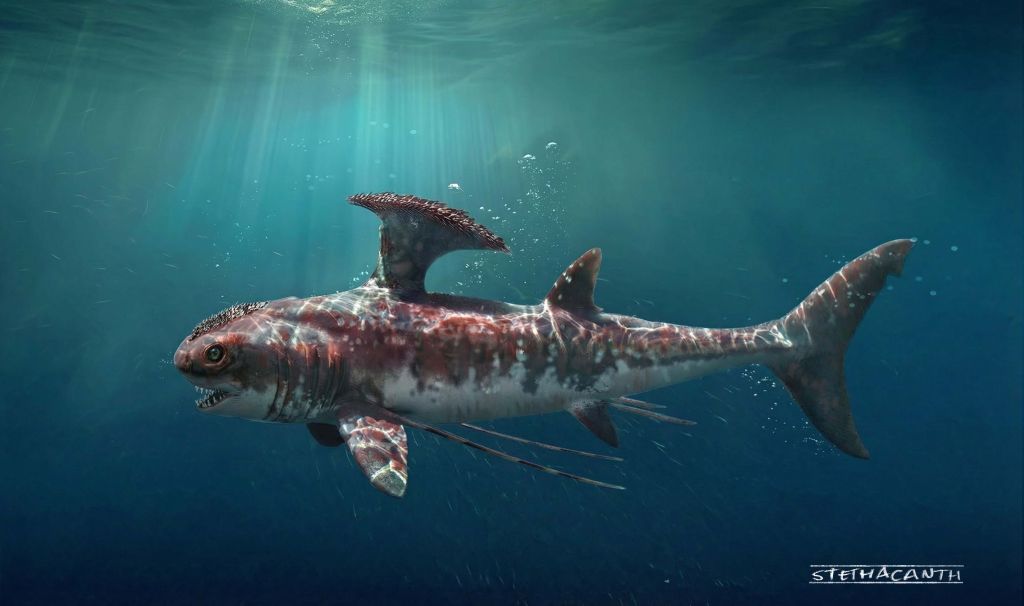Jurassic-Sharks-Concept-Animal-Art-Bart-Bus-famousframes11
