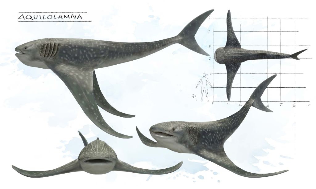 Jurassic-Sharks-Concept-Animal-Art-Bart-Bus-famousframes2
