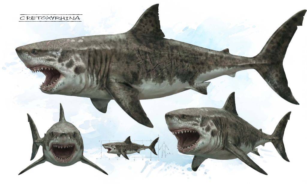 Jurassic-Sharks-Concept-Animal-Art-Bart-Bus-famousframes4